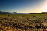 8015 Scenic Mesa Road - Photo 19