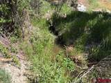 224 Spud Hill Road - Photo 4