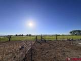 2150 2160 Mesa Drive - Photo 17