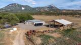11503 4050 Road - Photo 4