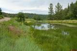 181 Hopkins Creek Trail - Photo 31
