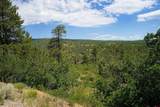 224 Durango Ridge - Photo 13