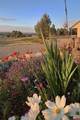 167 Hollow Ridge Road - Photo 42