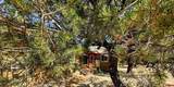 105 Indian Hill Road - Photo 42