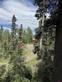 4717 San Juan Vista Drive - Photo 21