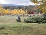 408 Raptor Place - Photo 28