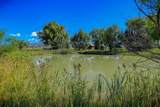 1204 County Road 332 - Photo 5