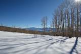 34681 Forest Road 128.G - Photo 29