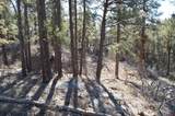 46 Avalanche Lily Dr. (Lot 131) - Photo 5