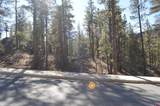 68 Avalanche Lily Dr. (Lot 132) - Photo 3