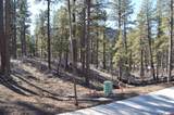 68 Avalanche Lily Dr. (Lot 132) - Photo 4
