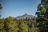 145 Lassen Drive - Photo 4