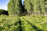 TBD Wapiti Trail - Photo 25