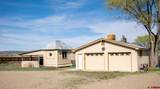 870 Dolores - Photo 32