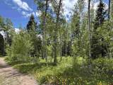 2315 Sierra Verde Drive - Photo 2