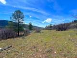 223 Spring Valley Ranch Road - Photo 12