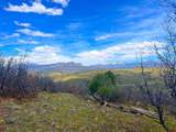 223 Spring Valley Ranch Road - Photo 13