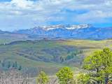 223 Spring Valley Ranch Road - Photo 4