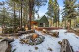 348 Ponderosa Homes Road - Photo 9