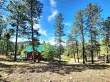 1043 Deer Ridge Drive - Photo 4