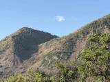 43867 Long Gulch Road - Photo 29