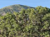 43867 Long Gulch Road - Photo 30