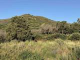 43867 Long Gulch Road - Photo 31