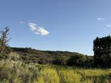43867 Long Gulch Road - Photo 33