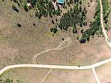 131 Mosquito Trail - Photo 7