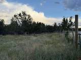 34706 Fruitland Mesa Road - Photo 27