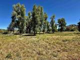 769 & 784 Bareback Lane - Photo 10