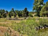 769 & 784 Bareback Lane - Photo 22
