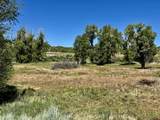 769 & 784 Bareback Lane - Photo 23