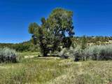 769 & 784 Bareback Lane - Photo 9