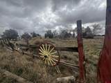 51654 Highway 491 - Photo 4