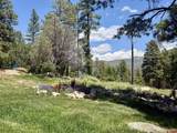 34237 Highway 550 - Photo 27
