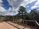 1097 D Bar K Drive - Photo 13