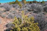 TBDWP County Line Rd - Photo 6