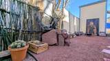 2403 Cr 203 - Photo 3