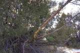 3995 County Road P - Photo 21