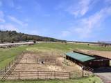 1190 7745 Road - Photo 45