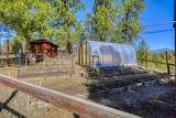 460 Appaloosa Circle - Photo 28