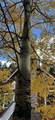 11993 Castle Rock Road - Photo 40