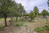 504 D Bar K Drive - Photo 42