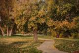 63 Fairway Drive - Photo 12