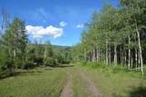 34681 Forest Road 128.G - Photo 5
