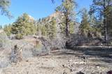 63 Snowdrop Ct. (Lot 139) - Photo 11