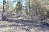 63 Snowdrop Ct. (Lot 139) - Photo 8