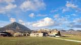 41990 Cottonwood Creek Road - Photo 43