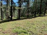 2237 Bear Creek Canyon Road - Photo 23
